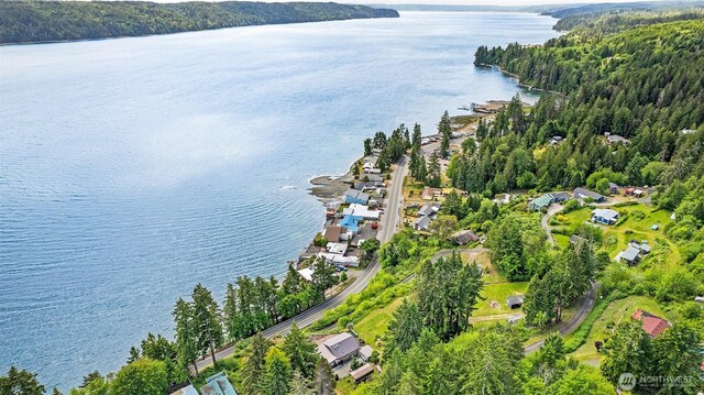 91 N Terrace Rd, Hoodsport, WA 98548 - aerial view of a nearby body of water and a forest