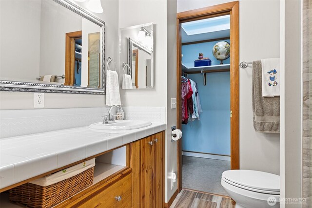 91 N Terrace Rd, Hoodsport, WA 98548 - bathroom with wood finished floors, vanity, toilet, a walk in closet, and baseboards
