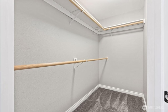 22014 48th Avenue Ct E, Spanaway, WA 98387 - spacious closet with dark carpet