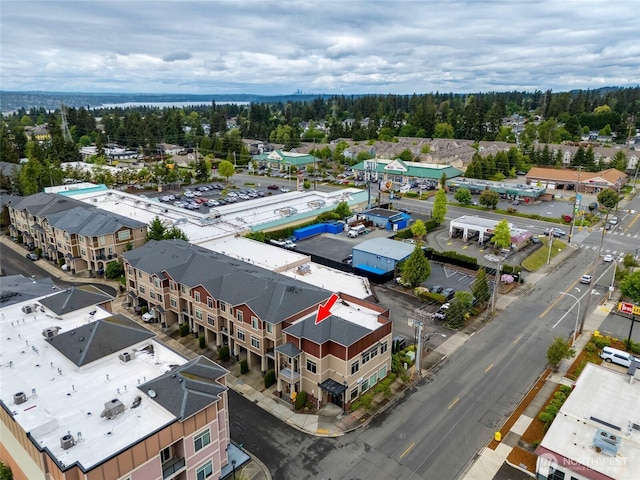 4020 NE 3rd Pl Unit B, Renton, WA 98056 - bird's eye view