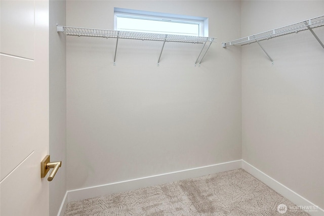 6726 NE 187th St Unit 104, Kenmore, WA 98028 - walk in closet featuring carpet floors