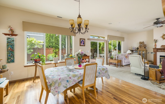 dining space featuring a chandelier, light wood-style floors, a ceiling fan, and a tiled fireplace