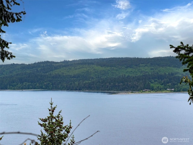 136 Discovery Crest Pl, Port Townsend, WA 98368