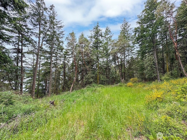 136 Discovery Crest Pl, Port Townsend, WA 98368
