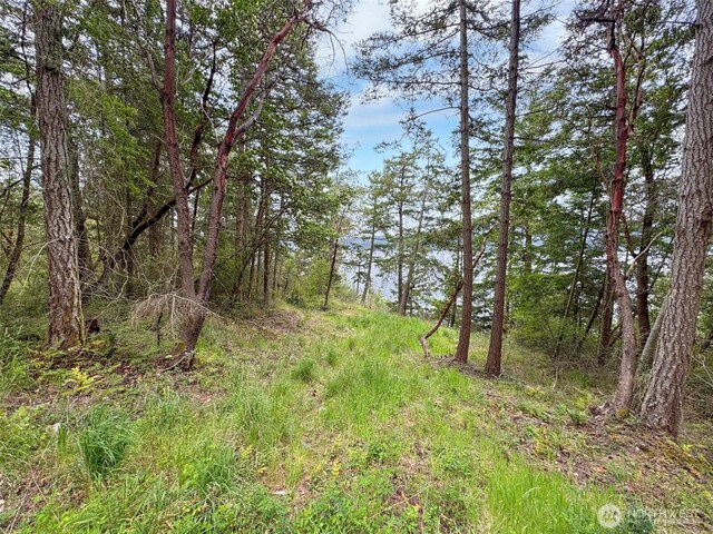 136 Discovery Crest Pl, Port Townsend, WA 98368