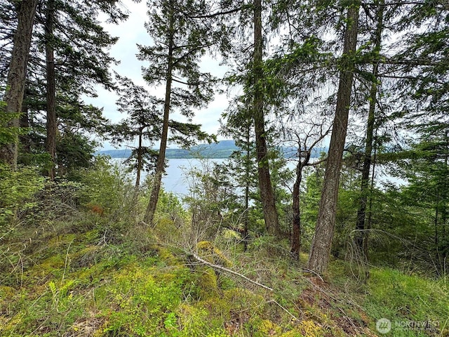 136 Discovery Crest Pl, Port Townsend, WA 98368