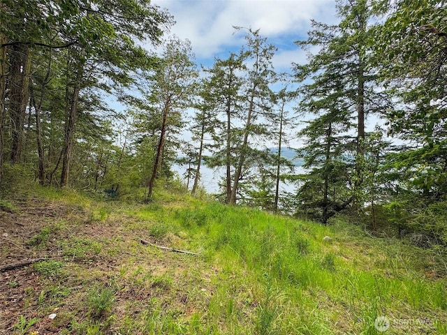 136 Discovery Crest Pl, Port Townsend, WA 98368