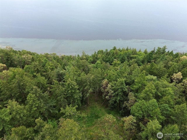 136 Discovery Crest Pl, Port Townsend, WA 98368
