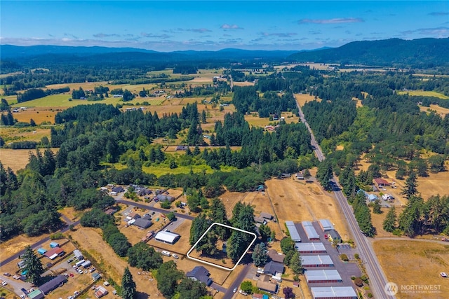 10443 184th Ave SW, Rochester, WA 98579 - photo 38