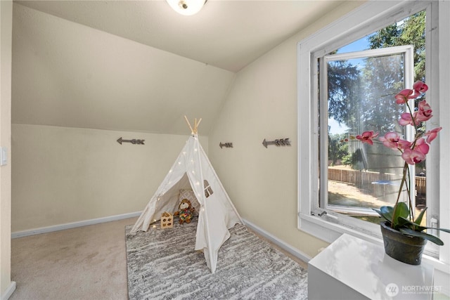 10443 184th Ave SW, Rochester, WA 98579 - photo 16