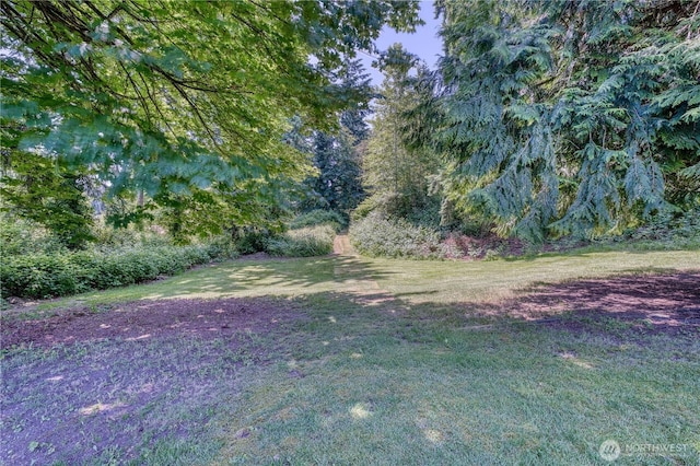 1245 SW 301st St, Federal Way, WA 98023 - view of green lawn