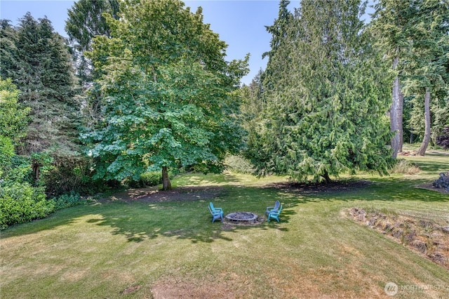 1245 SW 301st St, Federal Way, WA 98023 - view of grassy yard featuring an outdoor fire pit
