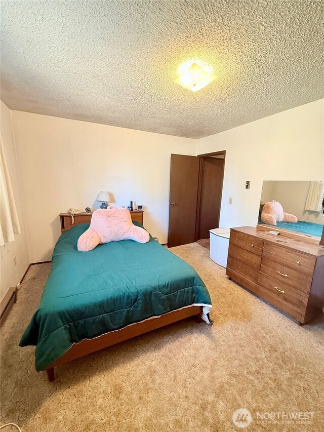 718 Ridge Pl, Omak, WA 98841 - bedroom featuring light carpet, a textured ceiling, and a closet
