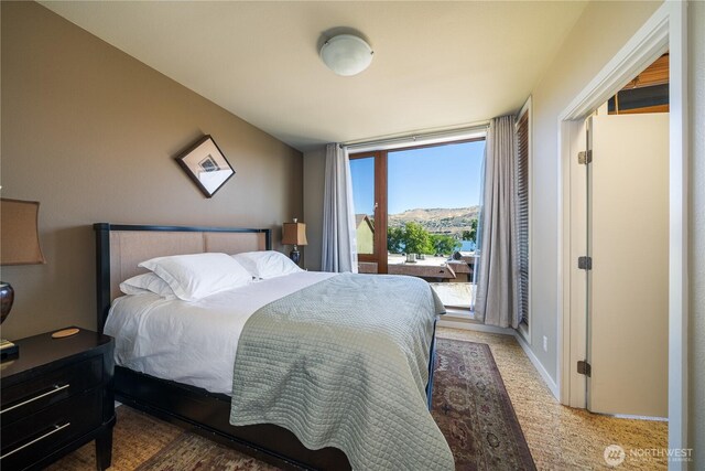2220 W Woodin Ave Unit 210, Chelan, WA 98816 - bedroom with a mountain view and baseboards