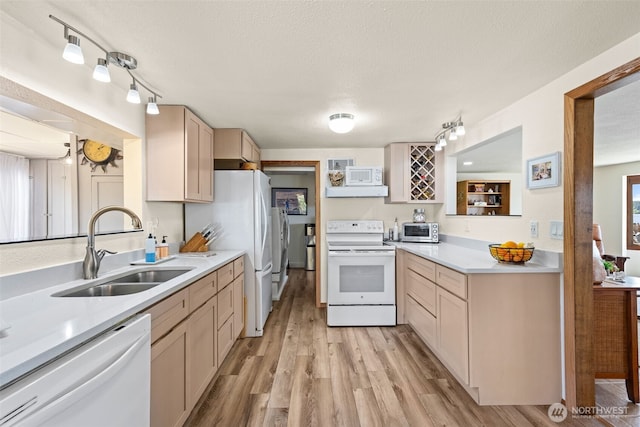 2423 Day Island Blvd W, University Place, WA 98466 - photo 15