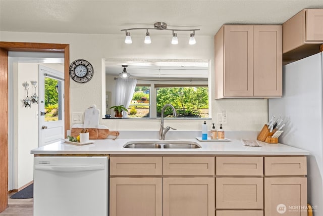 2423 Day Island Blvd W, University Place, WA 98466 - photo 17