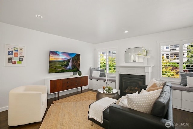 2643A NW 59th St, Seattle, WA 98107 - living area with healthy amount of natural light, wood finished floors, a glass covered fireplace, baseboards, and recessed lighting
