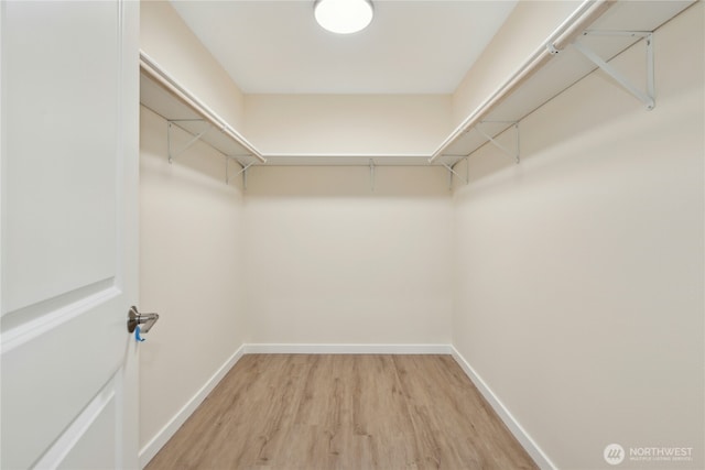 121 120th St SE Unit B, Everett, WA 98208 - walk in closet with light wood finished floors