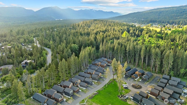 141 Panorama Dr, Cle Elum, WA 98922 - aerial overview of property's location featuring a forest, a mountain backdrop, and nearby suburban area