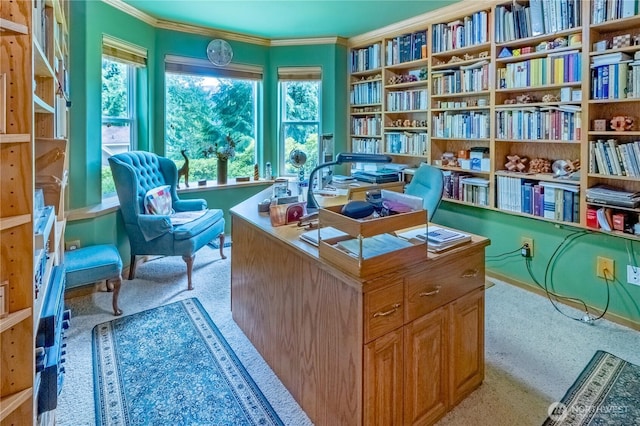22 Inlet Cir, Bellingham, WA 98229 - office area featuring carpet floors and crown molding