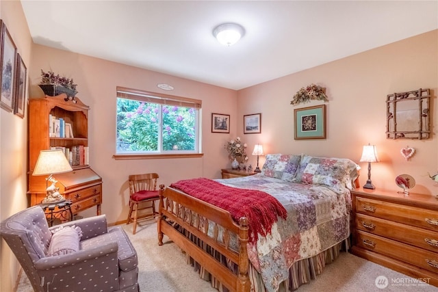 22 Inlet Cir, Bellingham, WA 98229 - bedroom with light carpet