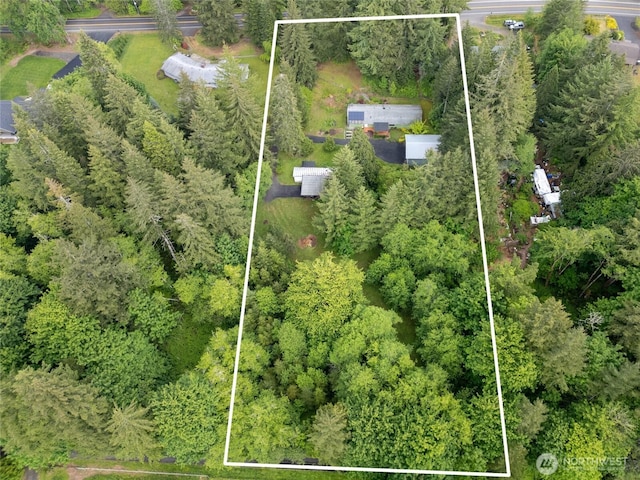 4205 Delphi Rd SW, Olympia, WA 98512 - aerial view of property's location with property parcel outlined
