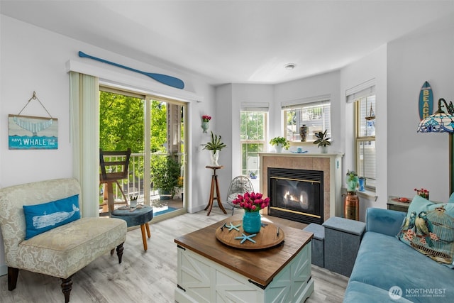 20800 72nd Ave W Unit 202, Edmonds, WA 98026 - living room with light wood-style flooring and a fireplace with flush hearth