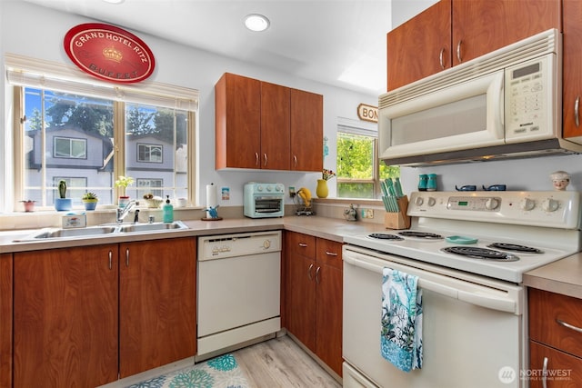20800 72nd Ave W Unit 202, Edmonds, WA 98026 - kitchen featuring white appliances, light countertops, brown cabinetry, and light wood-style flooring