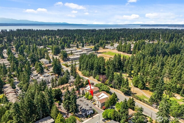 20800 72nd Ave W Unit 202, Edmonds, WA 98026 - drone / aerial view of a heavily wooded area and a water and mountain view