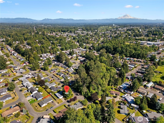 22412 110th Ave SE, Kent, WA 98031 - aerial view of property and surrounding area with mountains