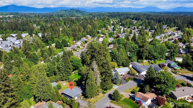 17818 147th Ave SE, Renton, WA 98058 - photo 24