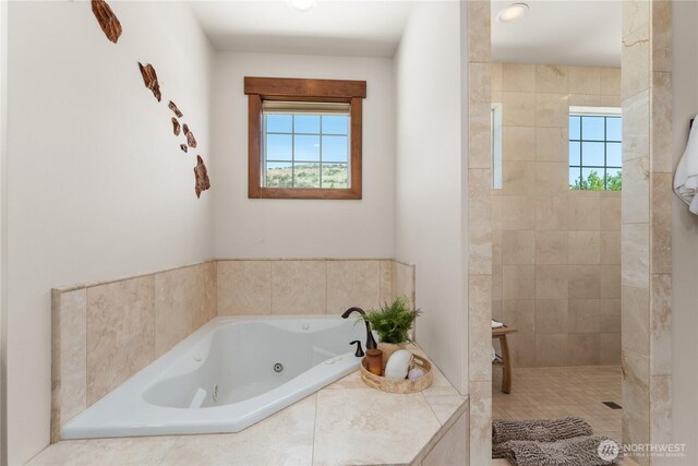 653 Lakayuse Rd, Manson, WA 98831 - bathroom featuring a whirlpool tub and a walk in shower