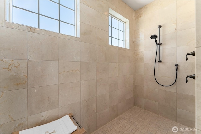 653 Lakayuse Rd, Manson, WA 98831 - full bathroom with tiled shower
