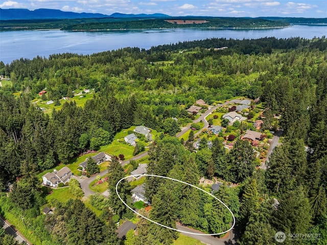 24390 Mount Washington View Ln NW, Poulsbo, WA 98370 - bird's eye view of a heavily wooded area and a water and mountain view