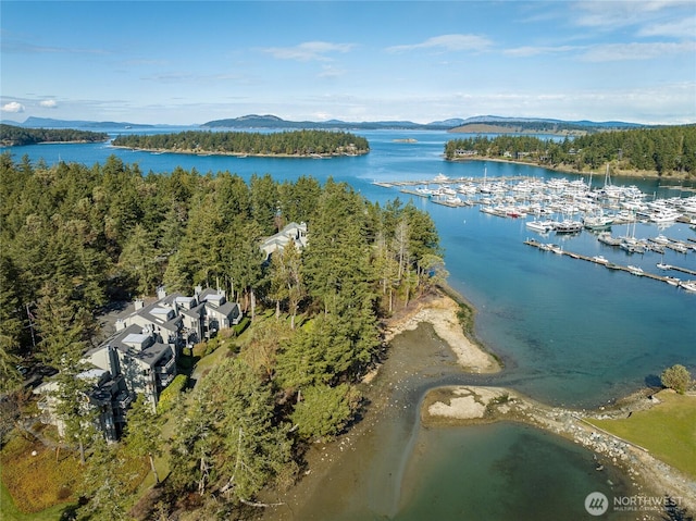 98 Armadale Rd Unit 215, Friday Harbor, WA 98250 - photo 17