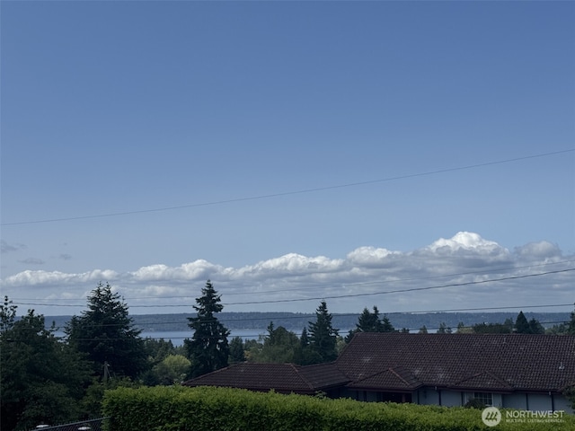 10758 22nd Ave SW, Seattle, WA 98146 - water view