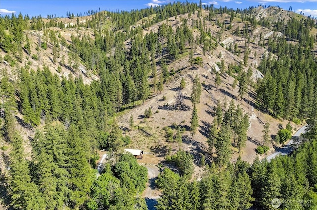9460 Eagle Creek Rd, Leavenworth, WA 98826 - aerial overview of property's location featuring a forest
