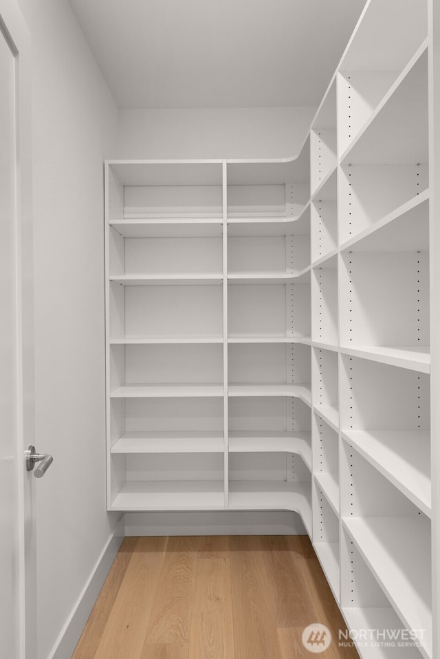 238 4th Ave Unit 101, Kirkland, WA 98033 - view of pantry
