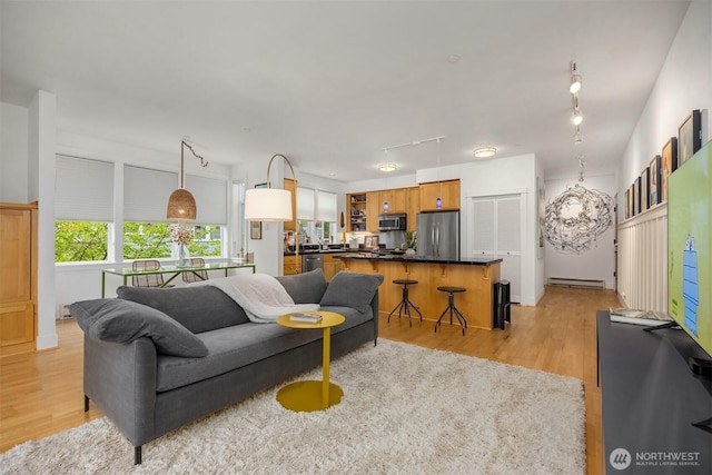 156 Hall Brothers Loop NE Unit 201, Bainbridge Island, WA 98110 - living room with rail lighting, light wood finished floors, and a baseboard heating unit