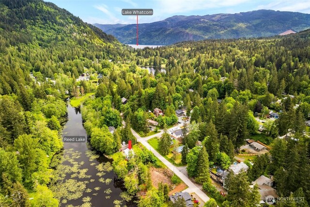 495 Lakeside Dr, Sedro Woolley, WA 98284 - bird's eye view of a forest and a water and mountain view