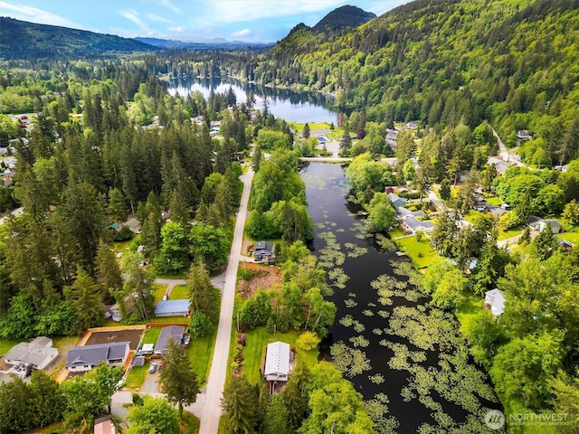 495 Lakeside Dr, Sedro Woolley, WA 98284 - aerial view of a heavily wooded area and a water and mountain view