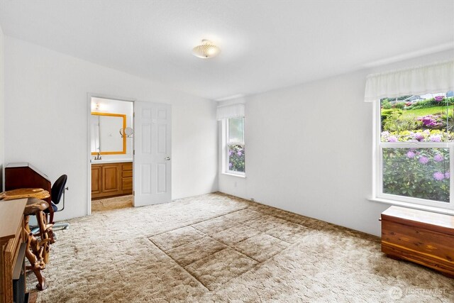 495 Lakeside Dr, Sedro Woolley, WA 98284 - office area featuring carpet floors and a sink