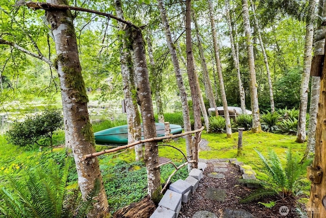 495 Lakeside Dr, Sedro Woolley, WA 98284 - view of yard