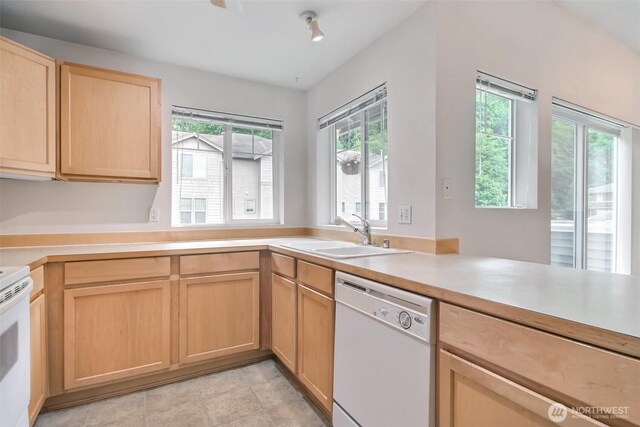 15325 SE 155th Pl Unit N5, Renton, WA 98058 - kitchen featuring white dishwasher, a sink, light brown cabinets, and plenty of natural light