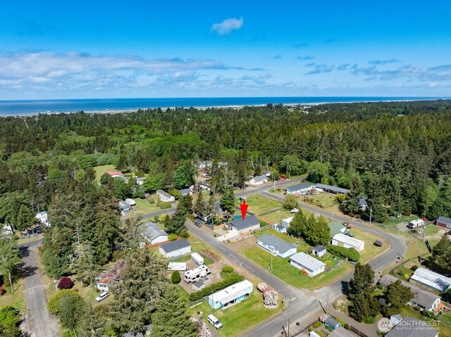 2201 303rd Pl, Ocean Park, WA 98640 - aerial view of property's location with a heavily wooded area and a nearby body of water