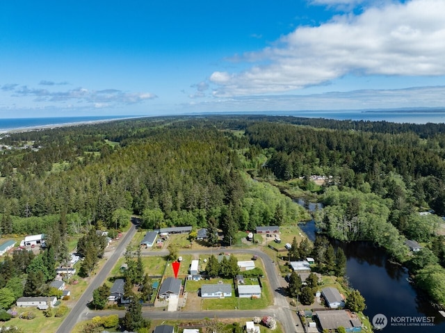 2201 303rd Pl, Ocean Park, WA 98640 - aerial view of property and surrounding area featuring a forest and a nearby body of water