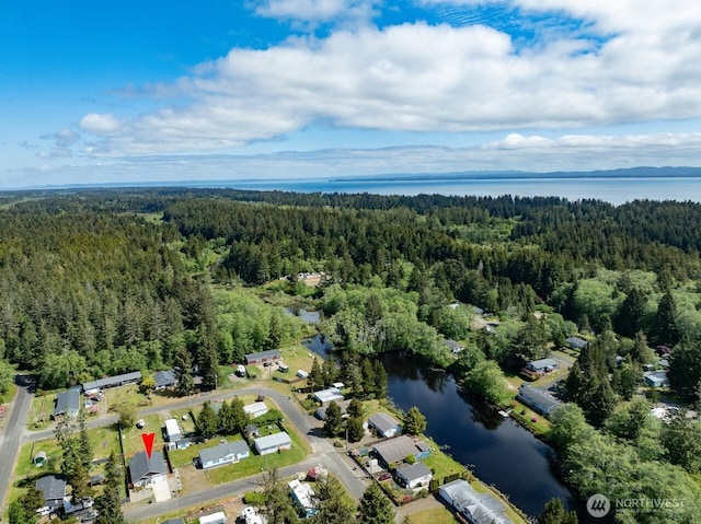 2201 303rd Pl, Ocean Park, WA 98640 - aerial view of property and surrounding area with a heavily wooded area and a large body of water