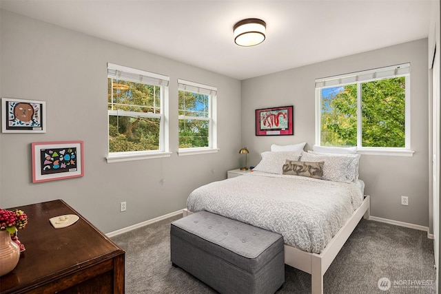 5102 S Frontenac St, Seattle, WA 98118 - bedroom featuring carpet floors, multiple windows, and baseboards