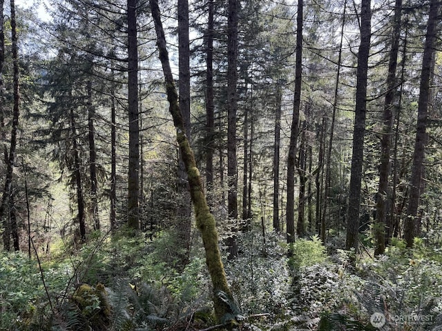 0 Halliday Rd, Centralia, WA 98531
