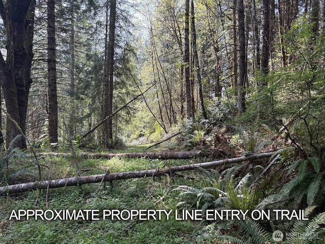 0 Halliday Rd, Centralia, WA 98531